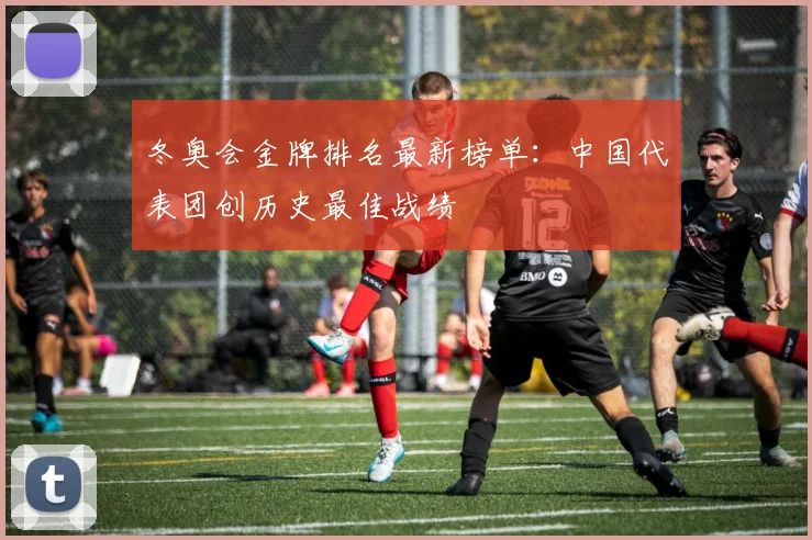 冬奥会金牌排名最新榜单:中国代表团创历史最佳战绩