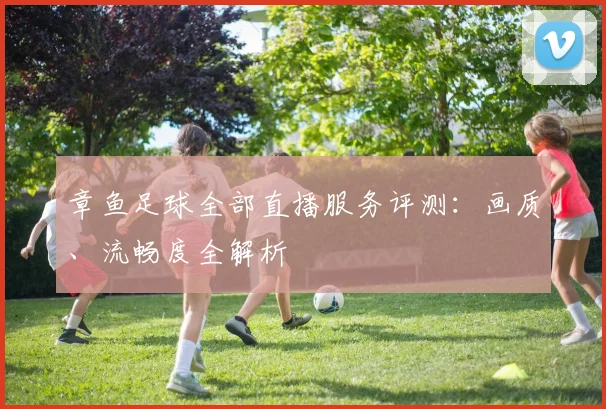 章鱼足球全部直播服务评测：画质、流畅度全解析